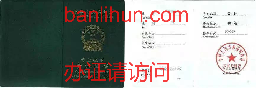 专业技术资格证书(2)样本